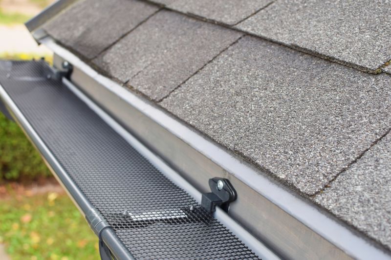 Gutter Cover Style Options